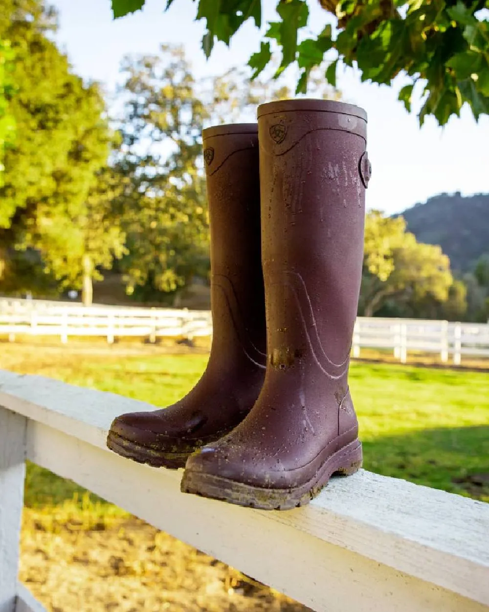 Ariat Womens Kelmarsh Wellington Boots